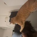 코인솔라라노래연습장 | 곧 블로그 올릴 거니까 제목 생각해놔