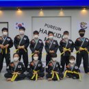 푸른합기도 이미지