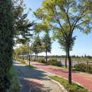 지에스(GS)25 계양아라 이미지