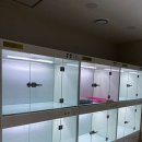 (주)펫츠아일랜드 옥포점 | 부산 수영구 펫츠아일랜드 연산점, 영업시간, 후기, 가는법