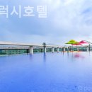 제주갤럭시호텔 | 제주도 호텔 제주갤럭시호텔 여행후기인생사진장소