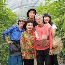 이레농원 이미지