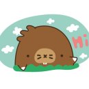 모모애견풀빌라 이미지