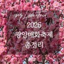 봄맞이 음악회 | 2026 광양 매화축제 총정리! 직접 가본 홍매화 숨은 스팟