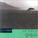 상록수 티스토리