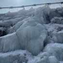 기풍농장 | 겨울 평창 1박2일 여행(1) :: 대관령 눈꽃썰매장, 실버벨교회, 봉평재래시장