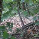 장항리 마을회관 이미지