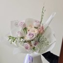 로지 데이즈