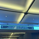 못잊어닭갈비 | [광화문 맛집] 광화문 닭갈비 맛집 일도씨닭갈비 방문 후기