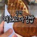 순천 해초꼬마김밥 내돈내산 후기｜와플·오백빵 간식 먹어본 솔직리뷰