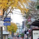 이디야커피진북점