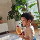 편백하우스 이미지