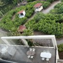 호텔스테이인터뷰제주 이미지