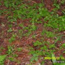 종삼농장 이미지