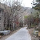 비슬산자연휴양림 이미지