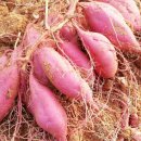 종순농장 이미지