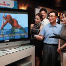 공룡시장 이미지