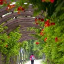 창포원로 이미지