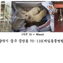 유천지구대 이미지