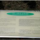 영주 성혈사 신중탱화 이미지