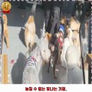 바로나도 수원영통 이미지