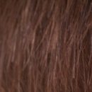 청사이비인후과의원 이미지