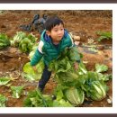 새롬농장 이미지