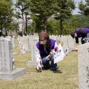 71 국제뉴스