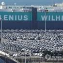 대미플러스 이미지