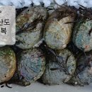 흑산도전복