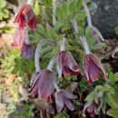 태안읍 행정복지센터 이미지