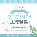 JJ 펫살롱 이미지
