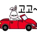 달빛퐁당 이미지
