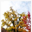 용계초등 이미지