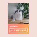 로얄케어클럽 이미지