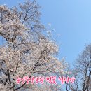 용인중앙공원_M 이미지