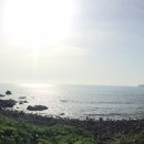 제주 수월봉 화산쇄설층 네이버블로그