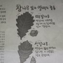 참나무 열매(도토리) 이미지