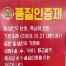 횡성한우 정육식당 한우백화점구이터 | 육회맛집 가격 후기