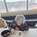 수원요양원 성심실버케어🌼🥚 알록달록 웃음이 가득했던 인지활동 “계란이 왔어요” 후기 🥚🌼