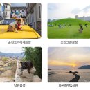 2025 순천 댕댕트레인 네이버블로그