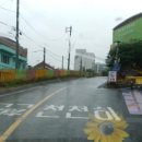 광천초등학교 | 광천초등학교 등굣길 음악회에서‥ 팬플룻연주/조우상/팬타곤