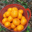 현이네농장 이미지