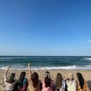 바다여행