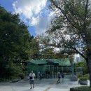 국립중앙박물관 | 서울 실내 가볼만한 곳, 국립중앙박물관 관람 후기