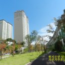 강정동-46 이미지