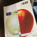 미자PC | [독서 후기] 넷플릭스 왜 봐요. 혼모노 보면 되는데