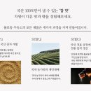 순수주유소 이미지