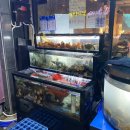 양덕동294 이미지