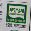 도그리니 이미지